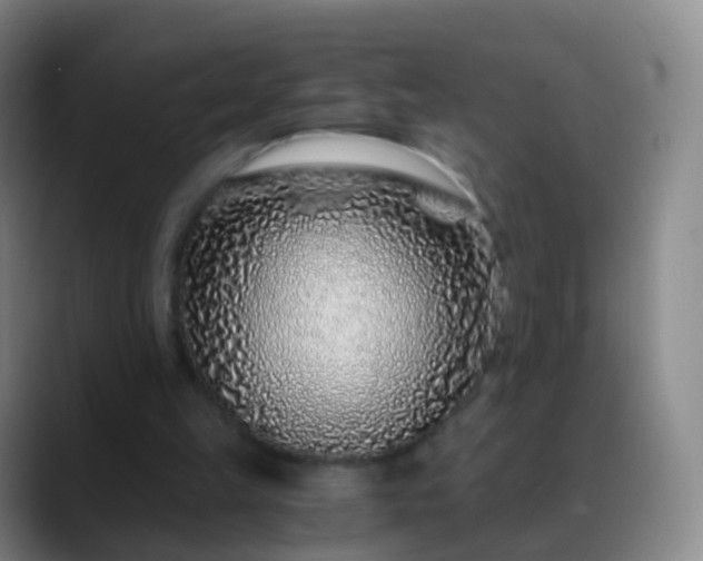 X0000088890149200706151836