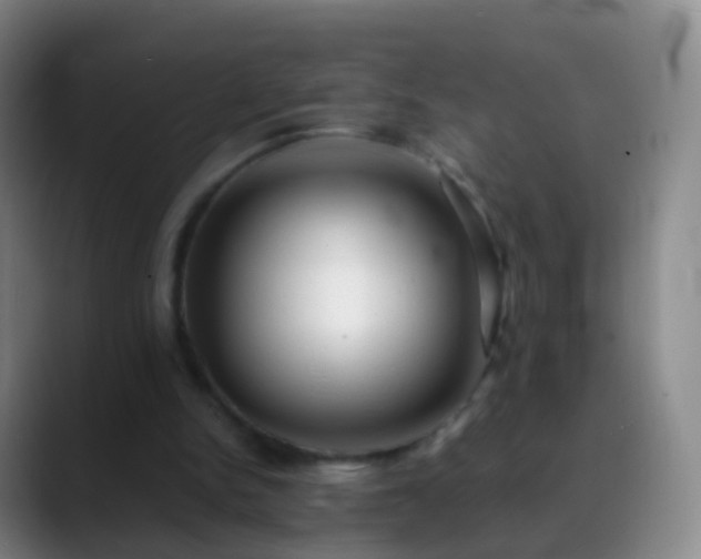 X0000088890150200706151836