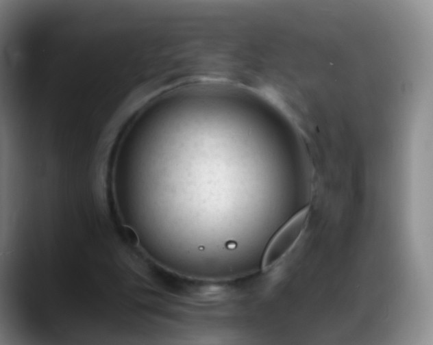 X0000088890151200706151836