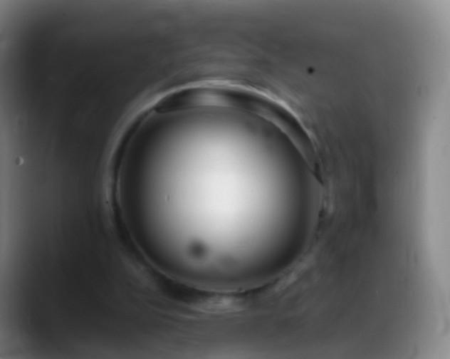 X0000088890152200706151836