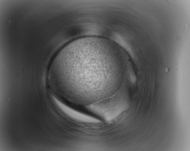 X0000088890156200706151836