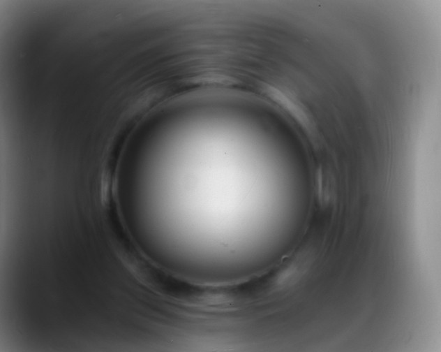 X0000088890157200706151836