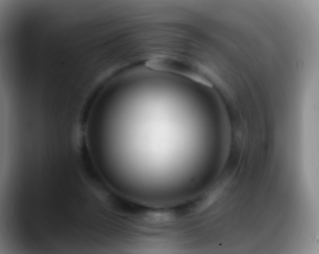 X0000088890160200706151836