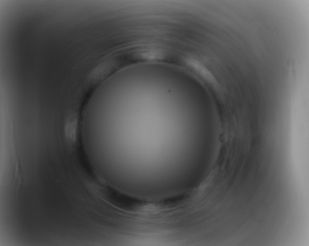 X0000088890163200706151836