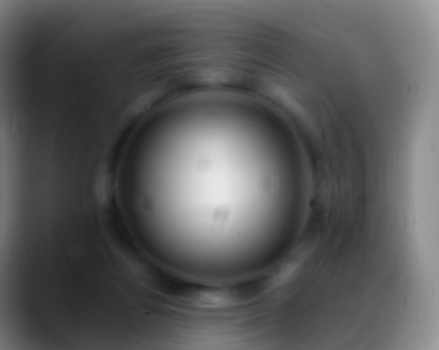 X0000088890164200706151836