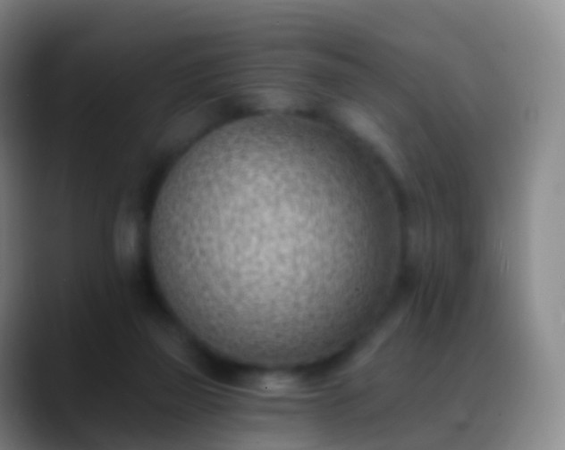 X0000088890165200706151836