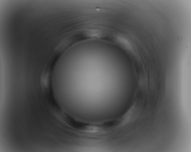 X0000088890167200706151836