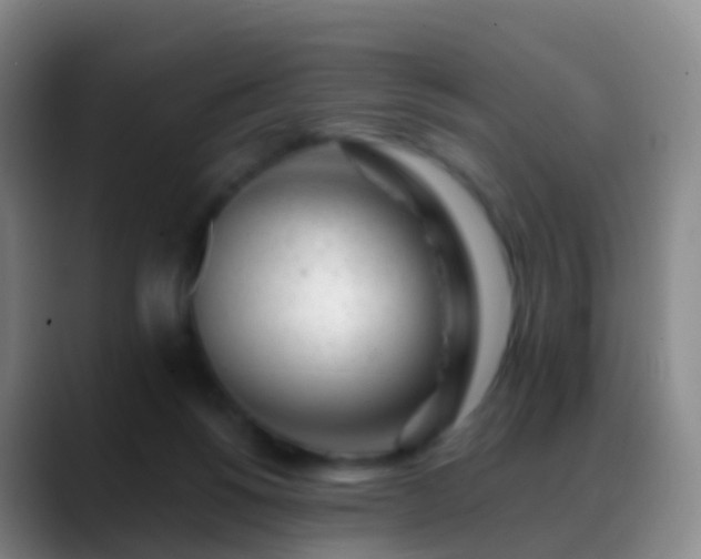 X0000088890168200706151836