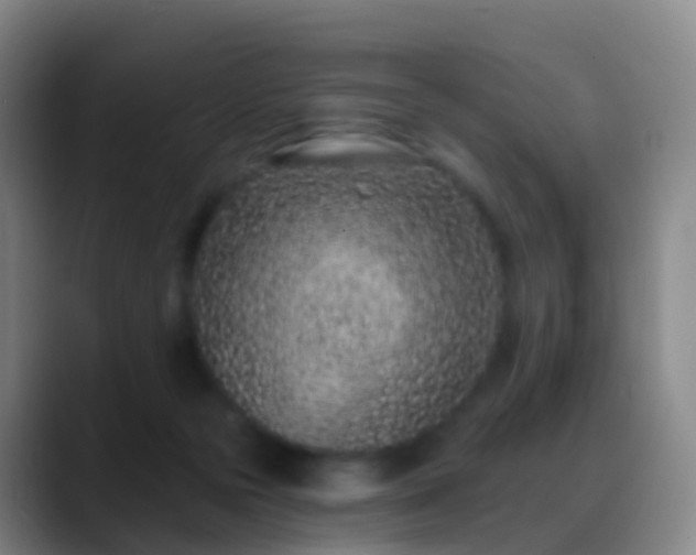 X0000088890169200706151836