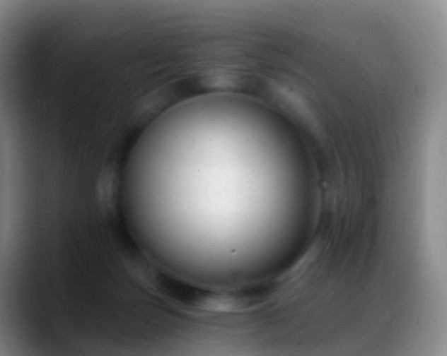 X0000088890171200706151836