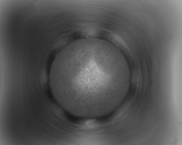 X0000088890173200706151836