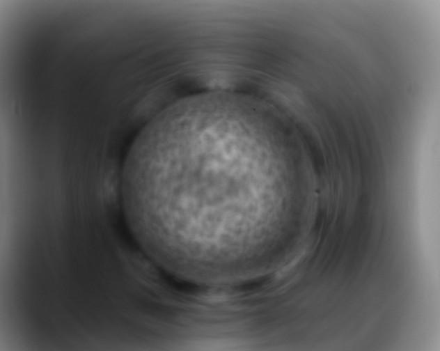 X0000088890175200706151836