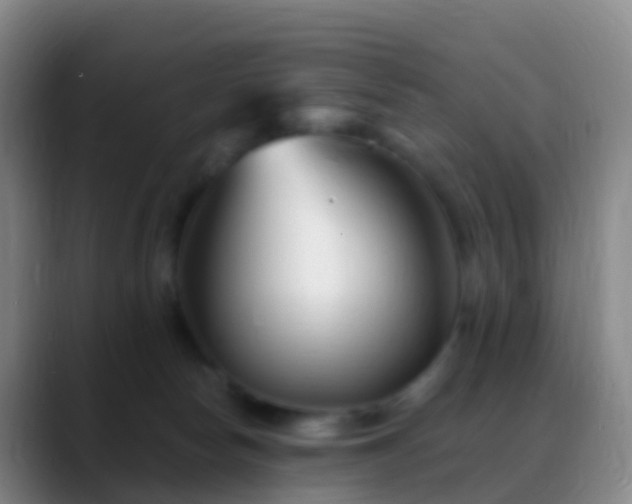 X0000088890178200706151836