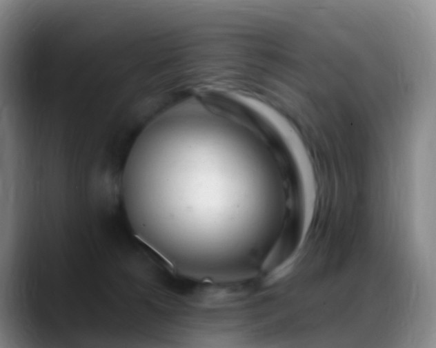 X0000088890180200706151836