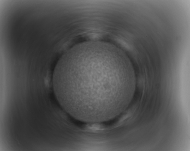 X0000088890181200706151836