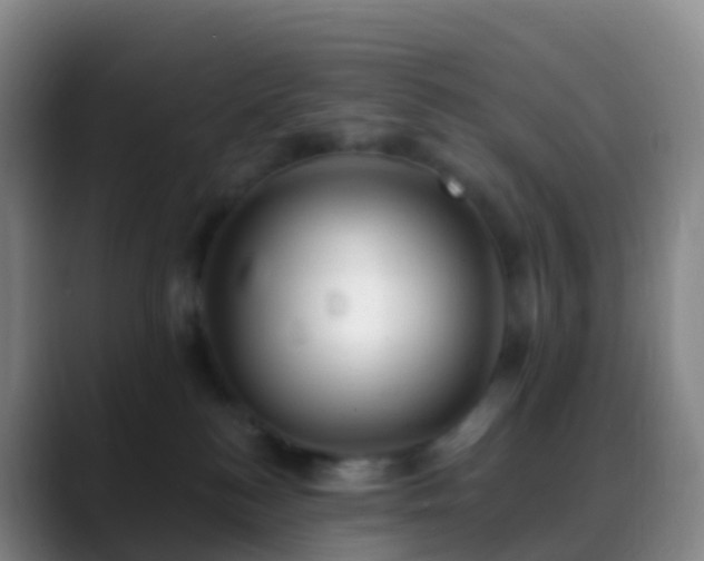 X0000088890184200706151836