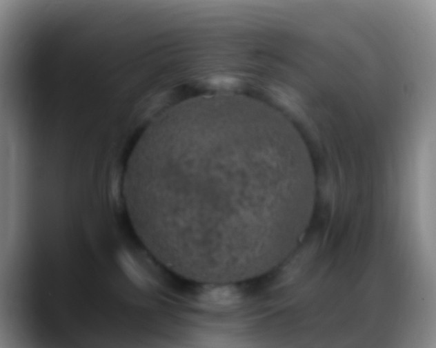 X0000088890185200706151836