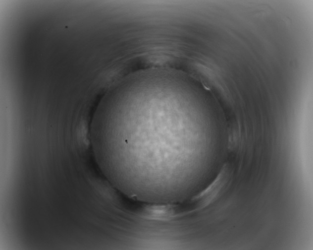 X0000088890187200706151836