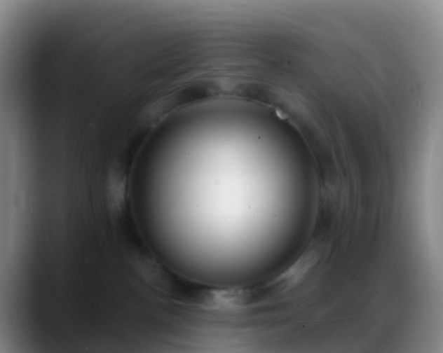 X0000088890188200706151836