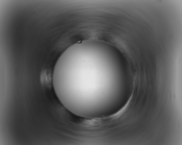 X0000088890190200706151836