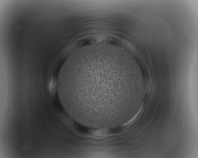 X0000088890191200706151836