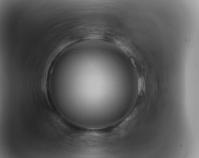 X0000088890195200706151835