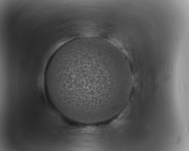 X0000088890196200706151835