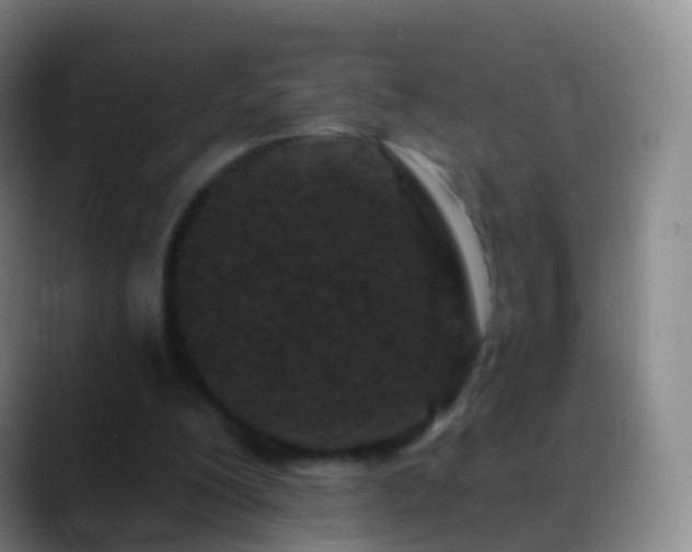 X0000088890200200706151835