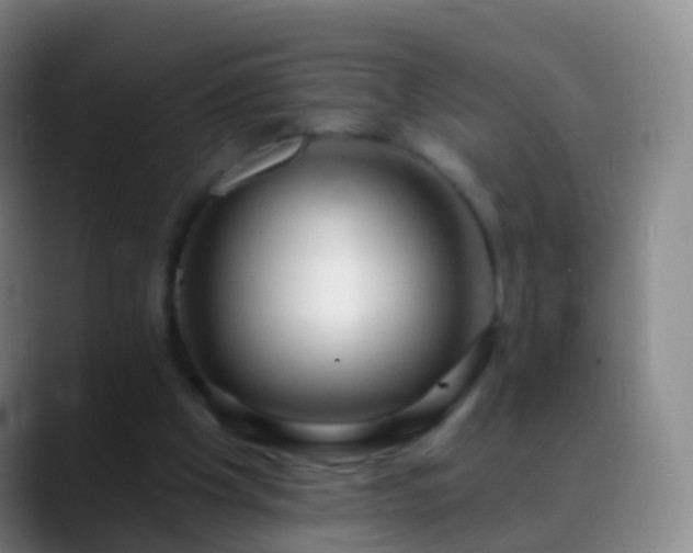 X0000088890201200706151835