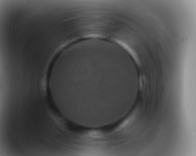 X0000088890204200706151835