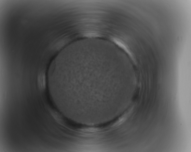 X0000088890205200706151835