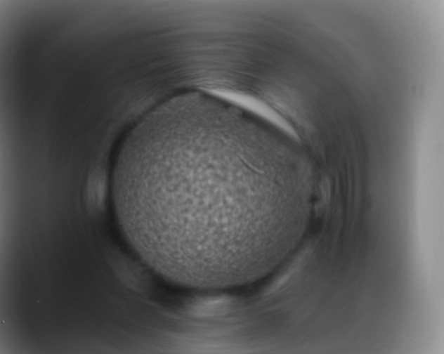 X0000088890206200706151835