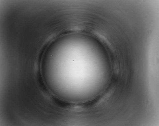 X0000088890208200706151835