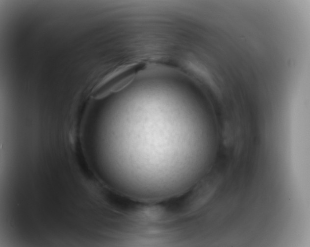 X0000088890210200706151835