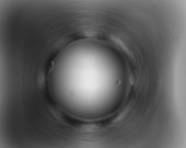 X0000088890213200706151835