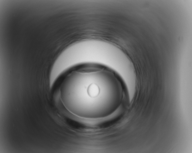 X0000088890215200706151835