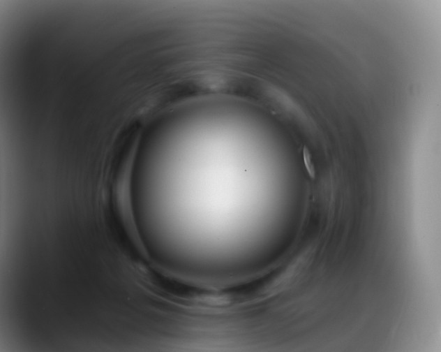 X0000088890217200706151835