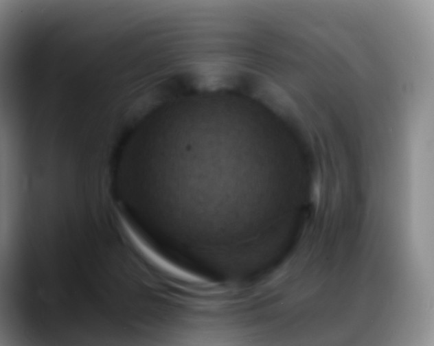 X0000088890219200706151835