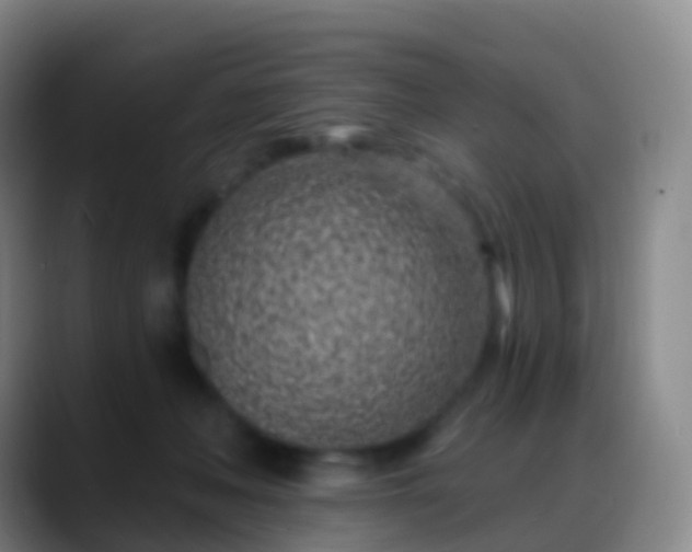 X0000088890222200706151835