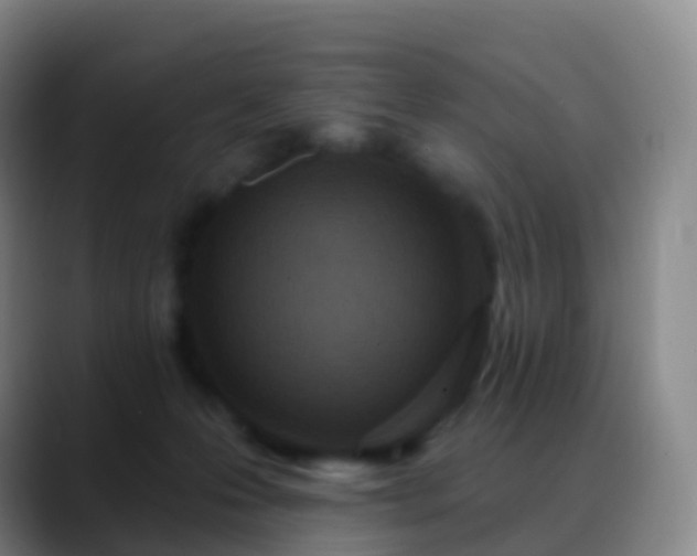 X0000088890223200706151835