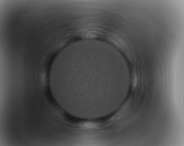 X0000088890224200706151835