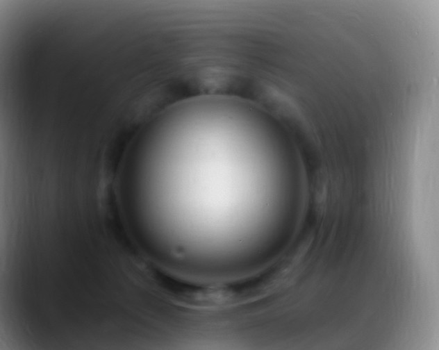 X0000088890225200706151835