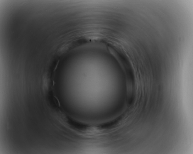 X0000088890227200706151835