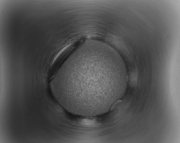 X0000088890232200706151835