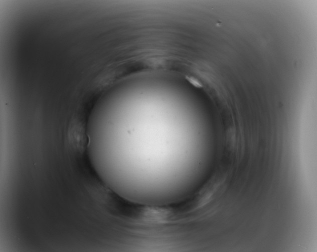 X0000088890234200706151835