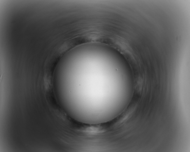 X0000088890236200706151835