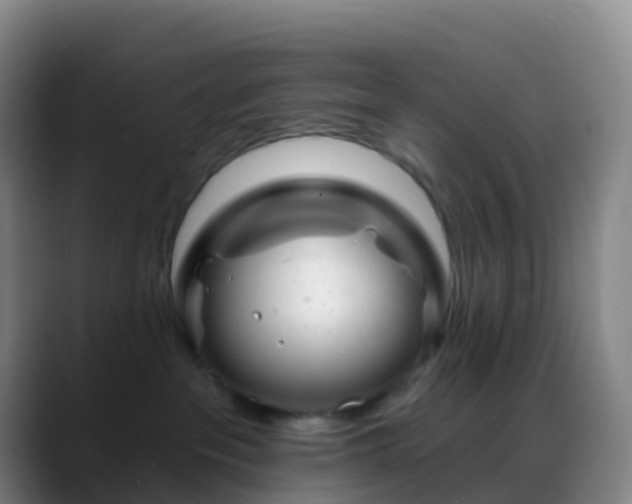 X0000088890237200706151835