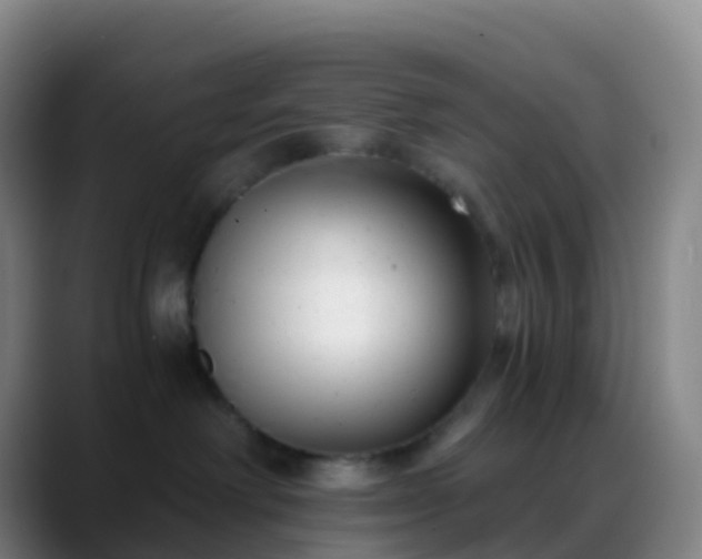 X0000088890238200706151835