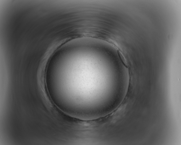 X0000088890241200706151834