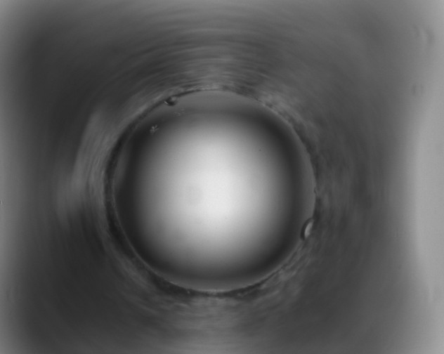 X0000088890242200706151834